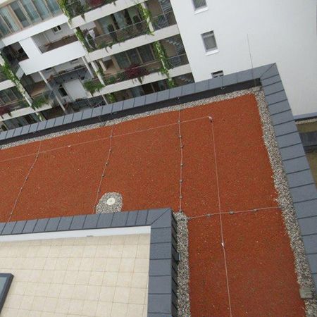 Begrünung Flachdach
